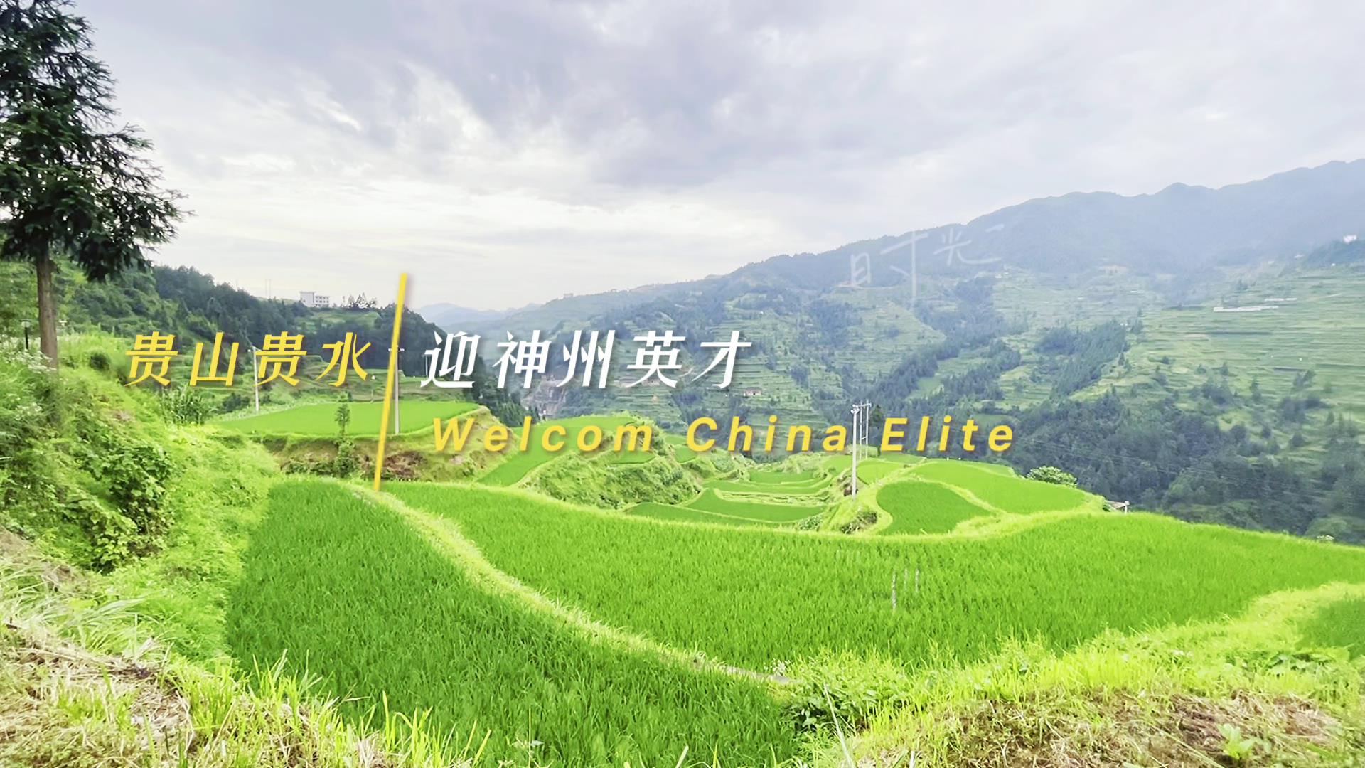 ����Ӣ�������կ���~(y��)��ِ��(l��)����